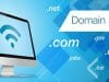 Perbedaan Domain dan Hosting yang Jarang Diketahui Pemula