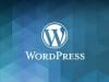 Alasan Harus Gunakan WordPress, Inilah Fitur-Fitur yang Disediakan WordPress